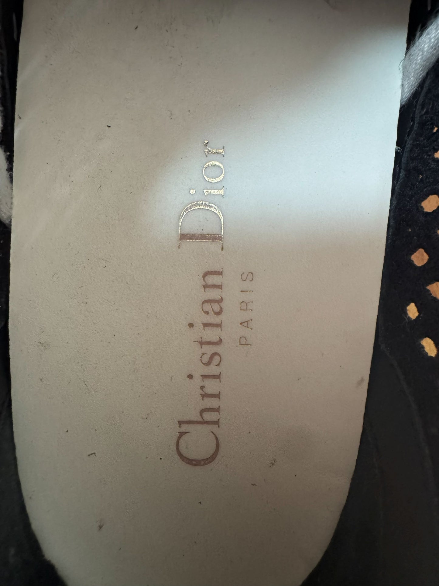 Dior walk n Dior perforated black sneakers